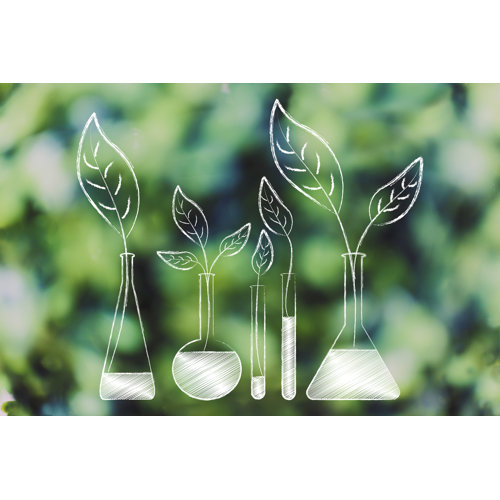 Winston Porter Lab Bottles With Leaves On Canvas Print Wayfair